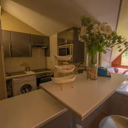 Apartment - Admite Mascotas